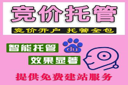 Sem优化公司成功案例：转化率提升之道